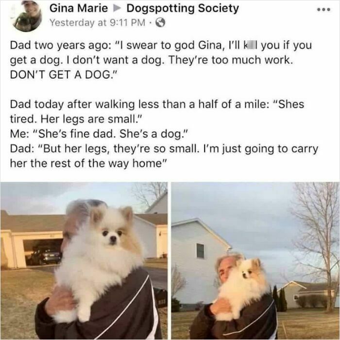 Dad holding small fluffy dog outside, showing how dads who said no pets become softies with their dogs.