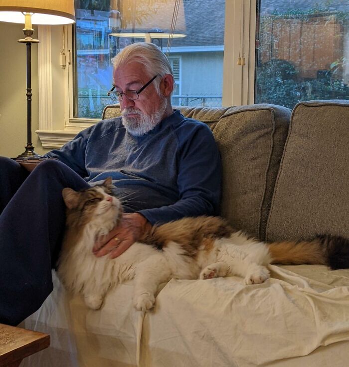 Older dad wearing glasses sitting on couch petting a large cat, showing softness and pet bonding at home.