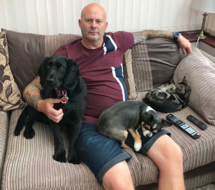 Man sitting on couch with two dogs and a cat, showing dads who said no pets becoming total softies with animals.