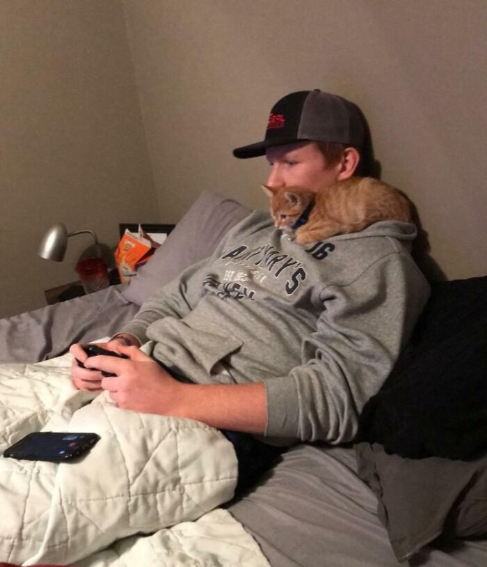 Dad relaxing on bed playing video games with a small orange kitten on his shoulder, showing dads who said no pets becoming softies.