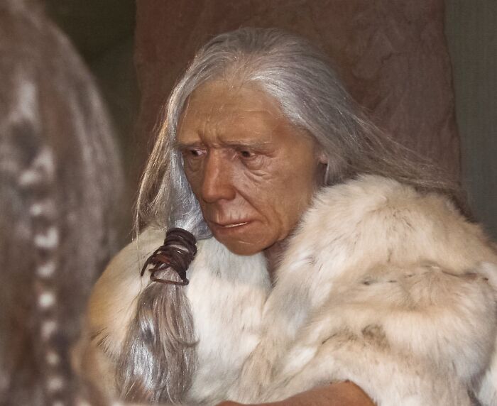 Reconstruction of an ancient human figure with a fur garment, illustrating common myths in history that proved false.