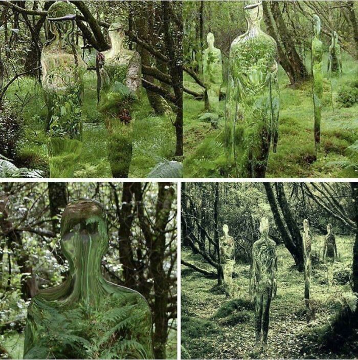 Figuras translúcidas y espeluznantes en un bosque real que provocan sucesos aterradores compartidos en línea.
