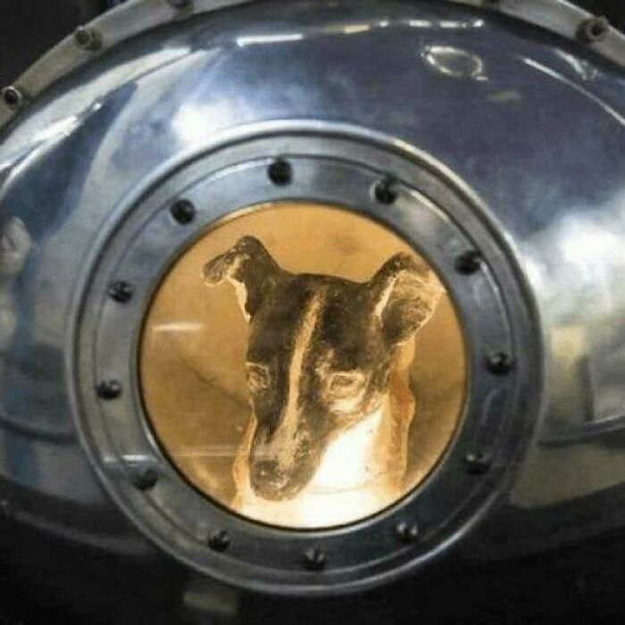 Terrifying photo of a dog inside a vintage diving helmet with a rusty metal frame and a glass window.