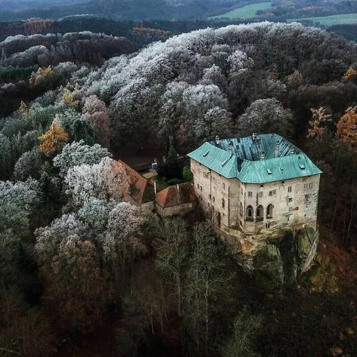Aerial view of an old, eerie castle surrounded by frost-covered trees in a dense, spooky forest setting.