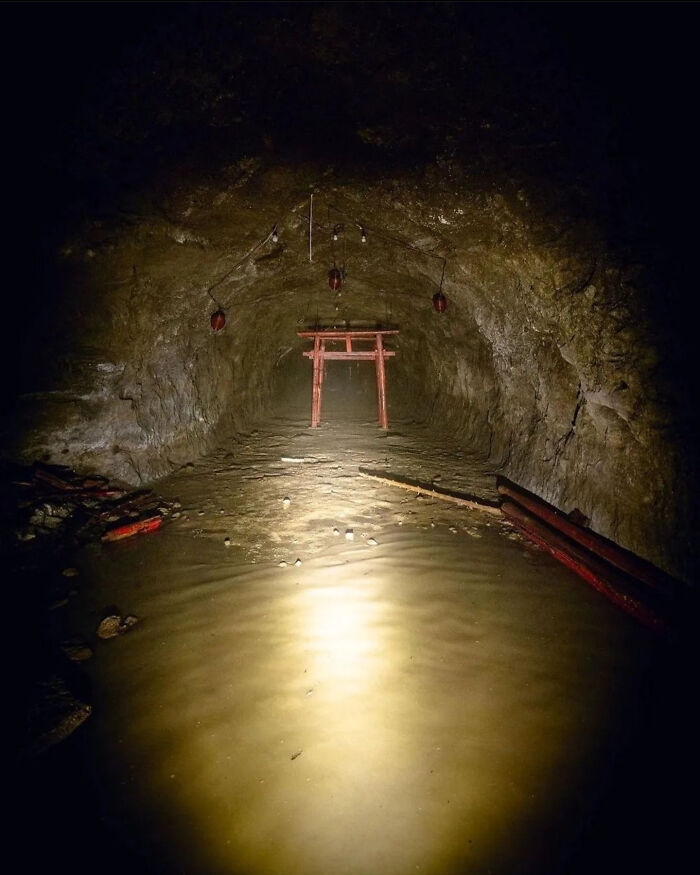 Entrada de túnel oscuro con agua y un torii rojo, escena real inquietante compartida por su atmósfera espeluznante.