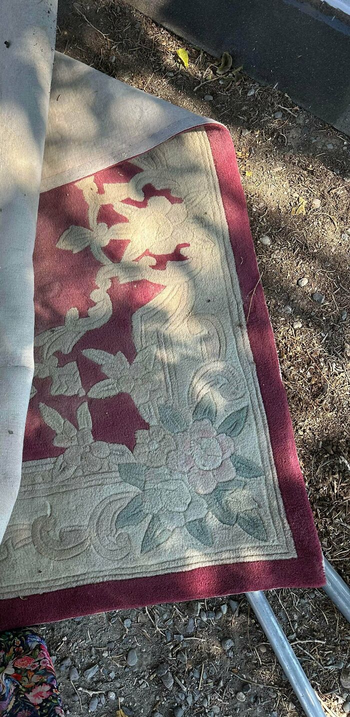 Vintage floral patterned rug found while dumpster diving treasures, partially rolled on dirt ground with scattered leaves and stones.