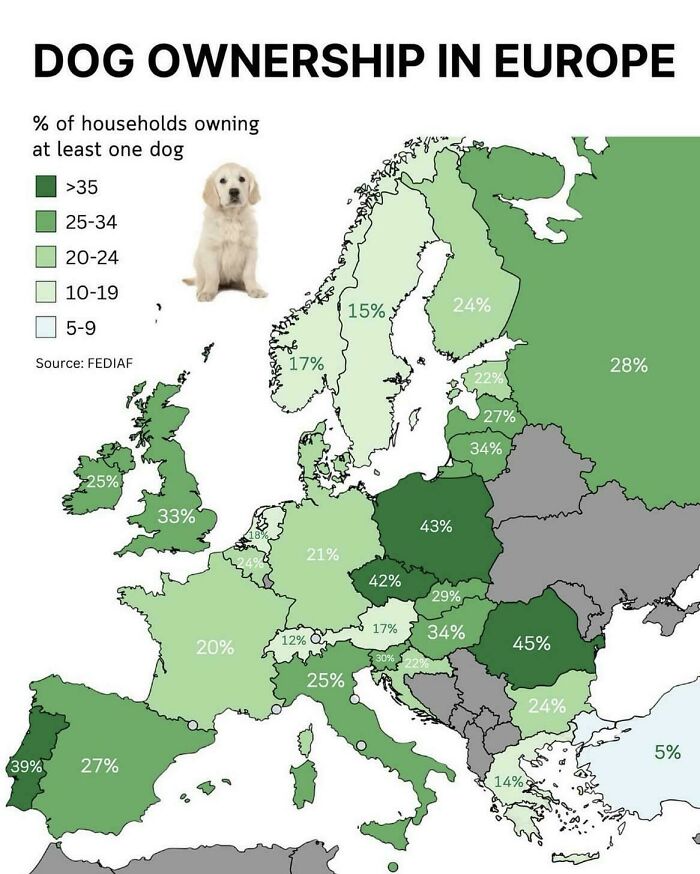 Map of dog ownership percentages across European households shown with varying shades of green, highlighting informative maps on perspective.