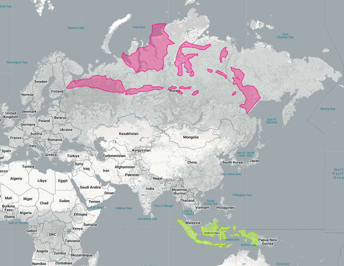 Map highlighting world regions in pink and green, showcasing informative maps that might change perspectives on our world.