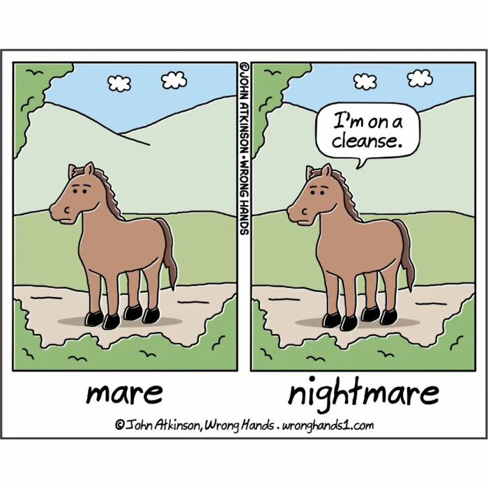 Humorous cartoon of a horse saying I'm on a cleanse, inspired by science, literature, and more.
