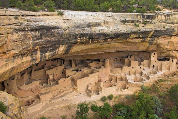 Ancient cliff dwellings surrounded by trees, illustrating the urban hell echo chamber concept in a natural setting.