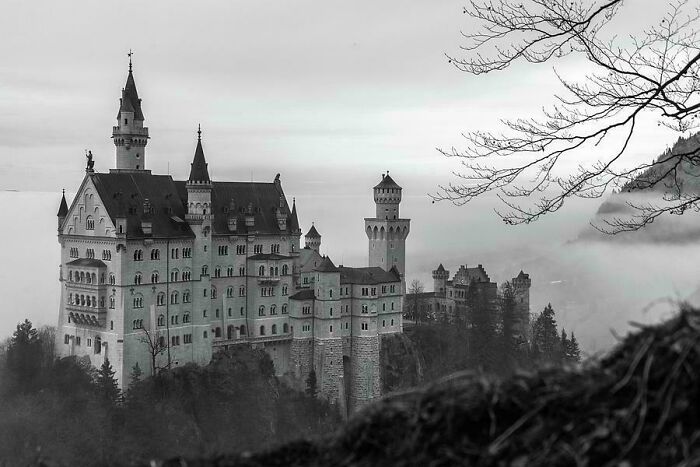 Black and white photo of a large castle surrounded by fog and leafless tree branches in an eerie urban hell echo chamber setting.