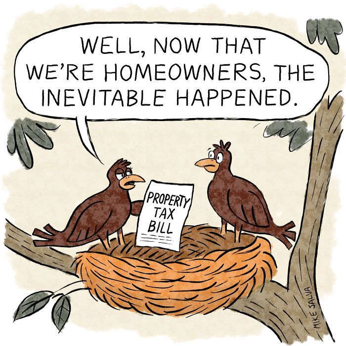 Cartoon by Mike Salva showing two birds in a nest discussing a property tax bill capturing everyday struggles.