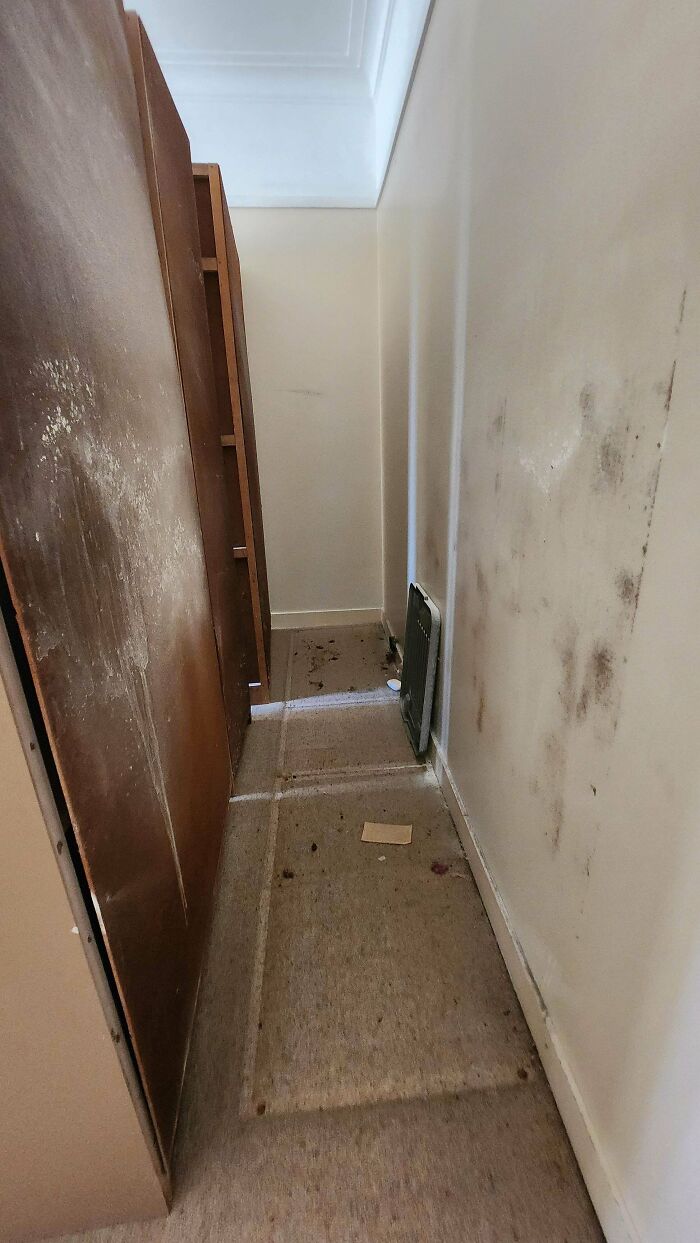 Narrow dirty hallway with moldy walls and a stained carpet showing poor landlord maintenance in a rental property.