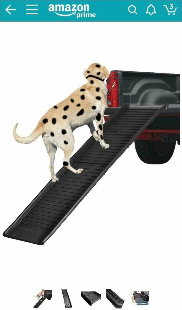 Dog edited with incorrect spots walking up a ramp into a truck, showcasing notable Photoshop fails.
