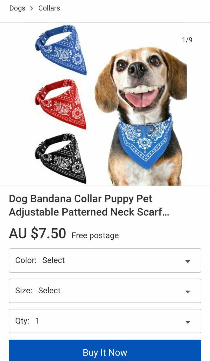Dog with a blue bandana collar showing Photoshop fails with unrealistic human teeth on the dog’s face.
