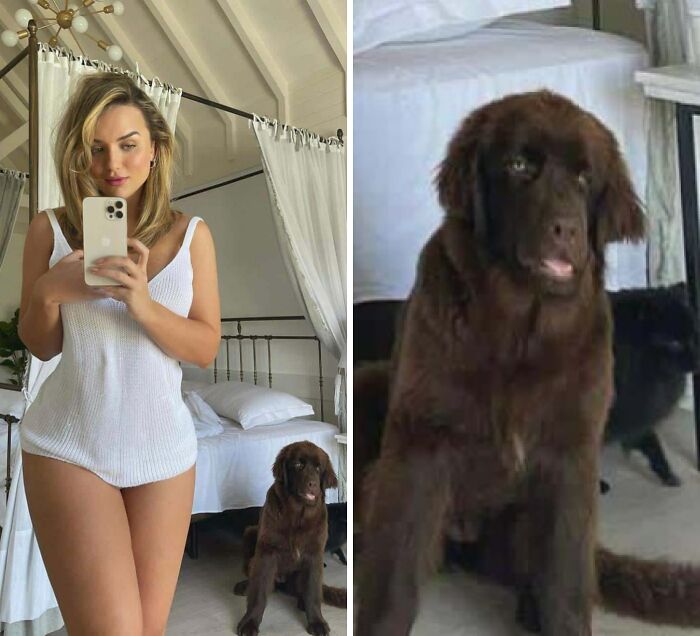 Woman taking a mirror selfie with a dog edited to have a human-like face in a Photoshop fail scenario.