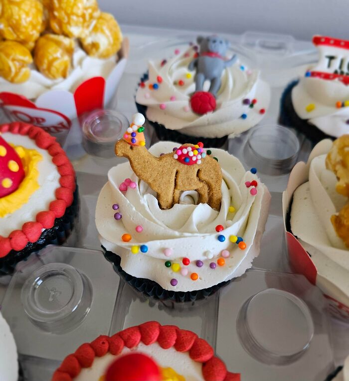 Cupcakes with detailed frosting, colorful sprinkles, and baked goods shaped like animals and popcorn in a clear container.
