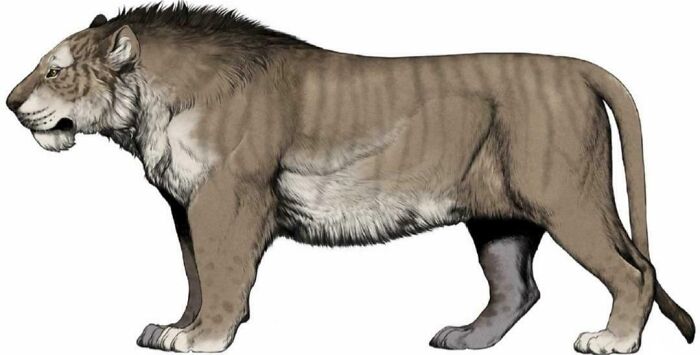 Illustration of a prehistoric saber-toothed cat showing nature was metal thousands and millions of years ago.
