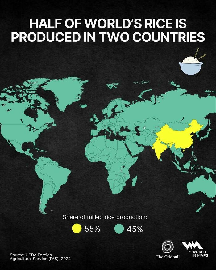 World map highlighting two countries producing 55% of the world's rice, illustrating informative maps on global agriculture.
