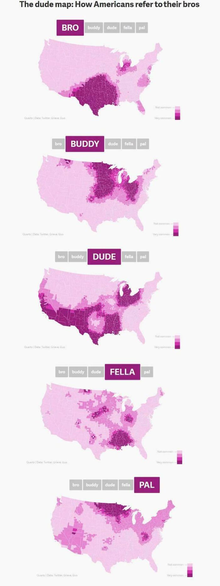 Informative maps showing regional variations in how Americans refer to their bros using terms like bro, buddy, dude, fella, and pal.