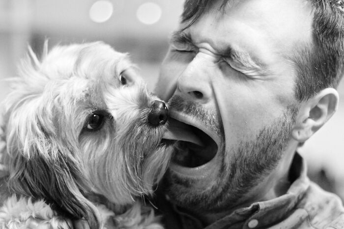 Man’s surprised face as his dog perfectly timed licking his open mouth in a funny and candid moment.