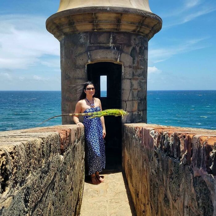 Woman in a blue dress standing by a stone wall with an iguana perfectly timed in mid-air by the ocean view background
