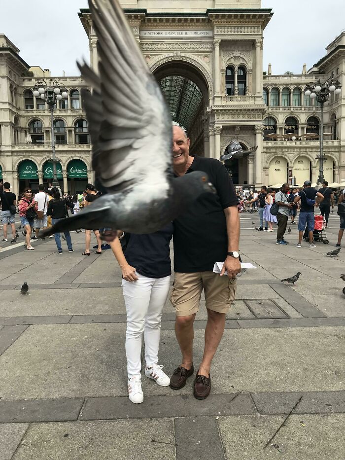 A perfectly timed photo captures a pigeon flying right in front of a couple posing in a busy city square.