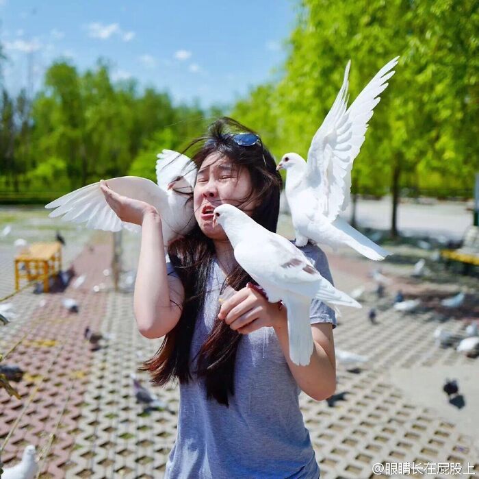 Woman reacting as white birds land on her face and arms in a perfectly timed photo outdoors on a sunny day.