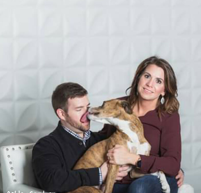 Man and woman with dog captured in a perfectly timed photo showing the dog licking the man's face.