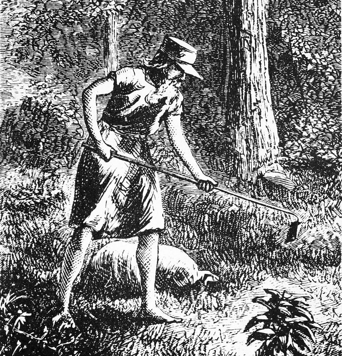 Vintage illustration of a barefoot American folk hero working in a forest clearing with a pig nearby.