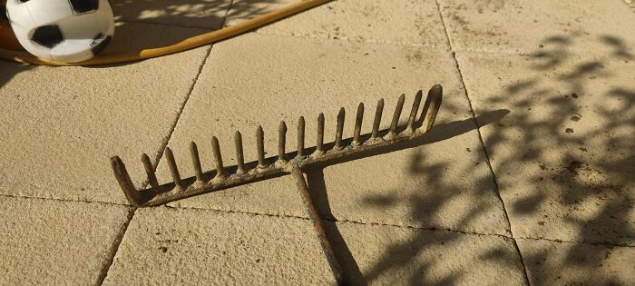 Rusty garden rake lying on tiled ground near a soccer ball, illustrating unusual ways people died that are hard to believe.