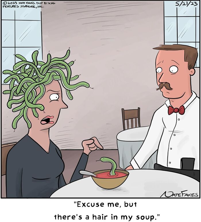 Funny single-panel comic showing a Medusa-like character complaining about a snake in her soup capturing life’s quirks.