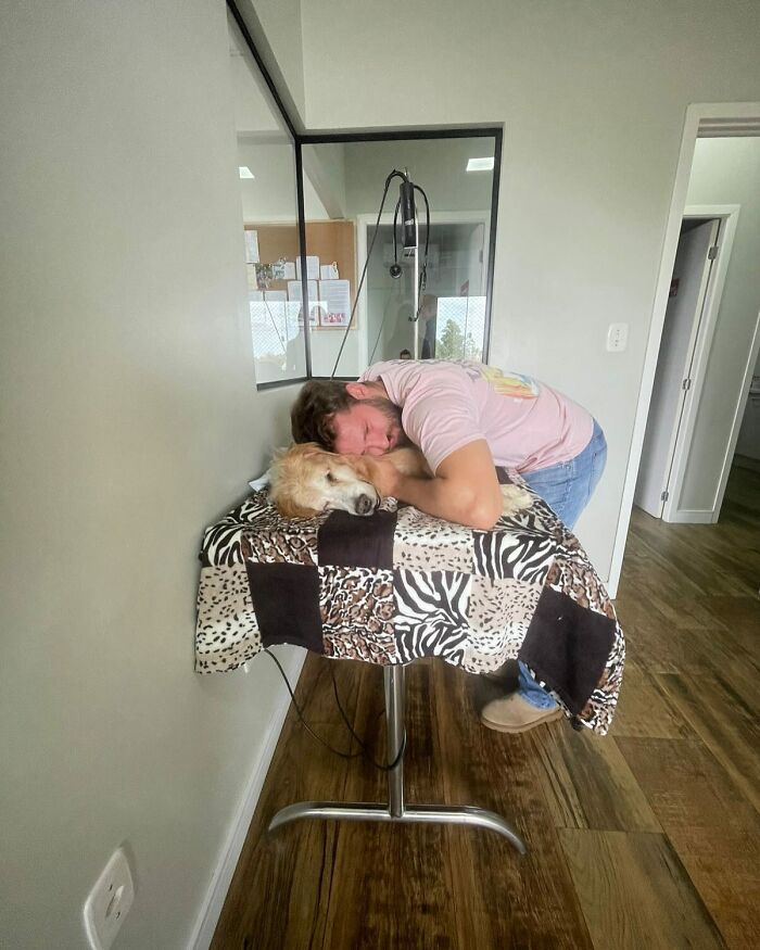 Man resting his head beside Theo the Golden Retriever lying peacefully on a table covered with an animal print blanket.