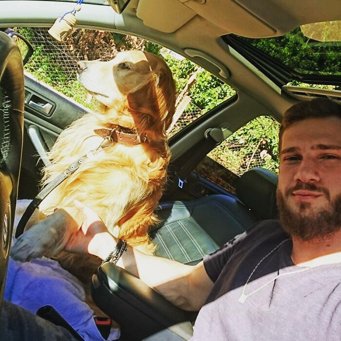 Man sitting in car with Theo the Golden Retriever beside him, enjoying a sunny day and peaceful moment together.