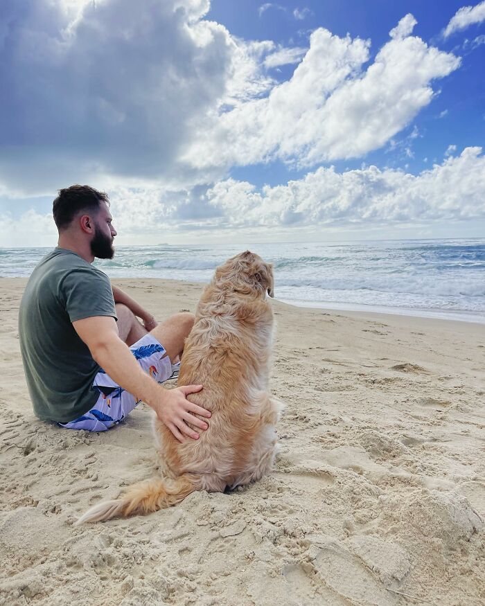 Man sitting on the beach with Theo the Golden Retriever, both looking at the ocean under a cloudy sky.