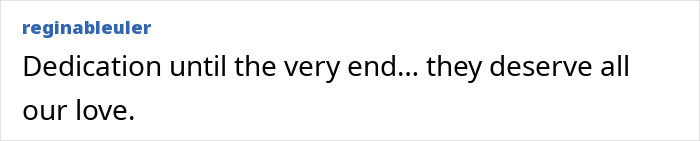 Comment expressing love and dedication for Theo the Golden Retriever who touched thousands of lives before his farewell