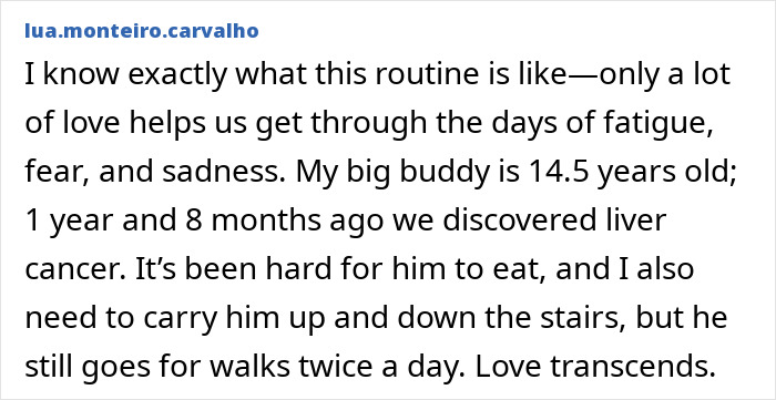 Text post sharing a personal story about a Golden Retriever coping with liver cancer and daily care challenges.