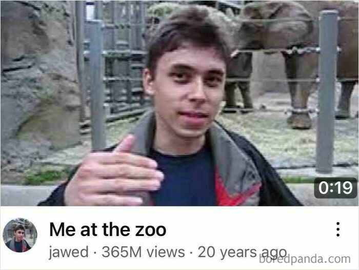 Young man at zoo with elephants in background, illustrating random comparisons that mess with perception of time.