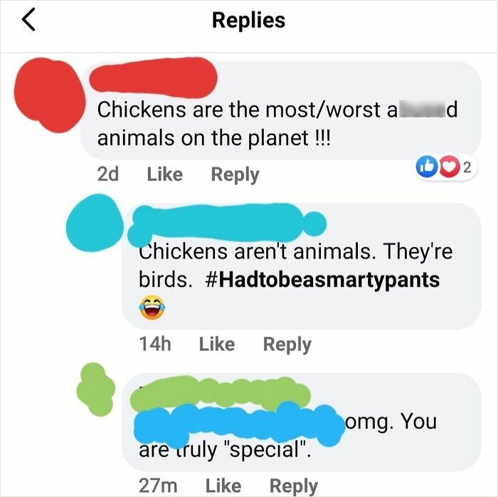 Screenshot of social media replies showing people confidently being embarrassingly wrong about chickens being animals or birds.