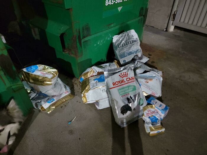 Several discarded bags of pet food near a green dumpster, showcasing dumpster diving treasures from neighborhoods.