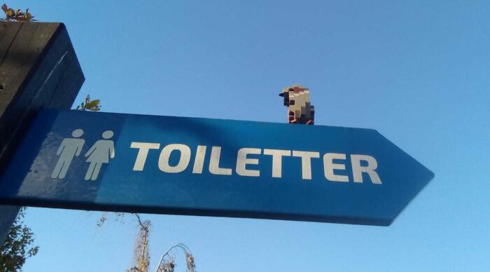 Blue sign pointing to public toilets in Denmark under a clear sky, illustrating a Danish prison cell concept.