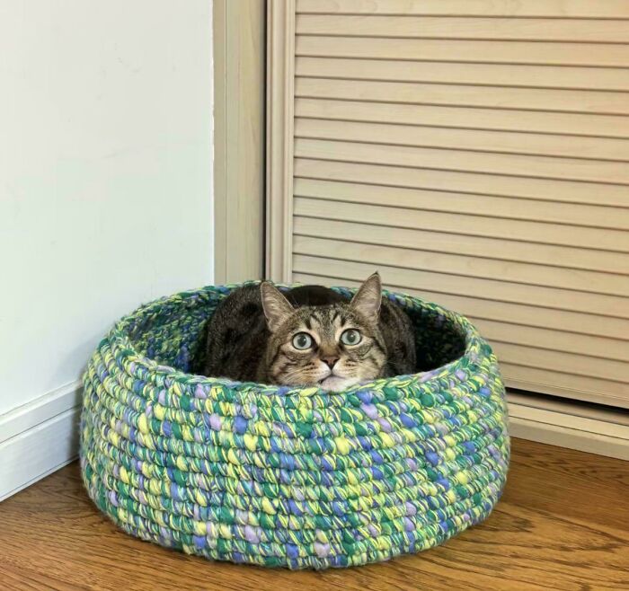 Tabby cat resting inside a colorful crocheted basket on a wooden floor, showcasing crochet crafting skills.