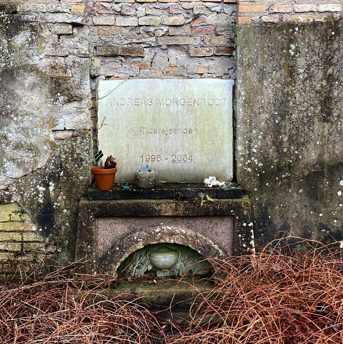 Weathered Danish prison cell wall with old plaque, potted plants, and overgrown dry bushes in front.
