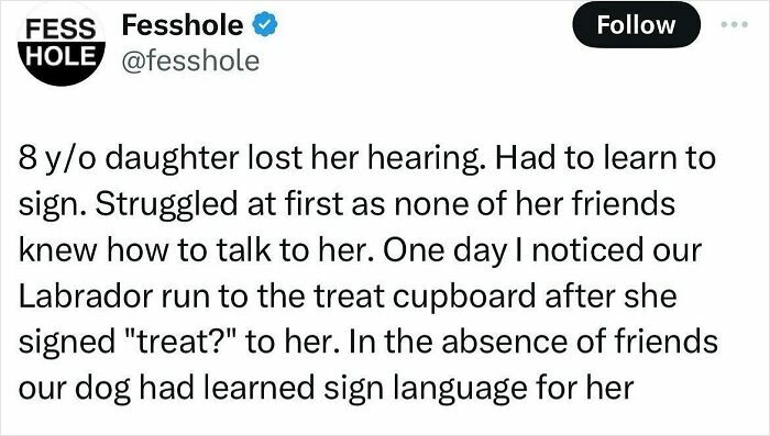 Tweet describing an 8-year-old daughter who lost hearing and a Labrador learning sign language to communicate, wholesome post.