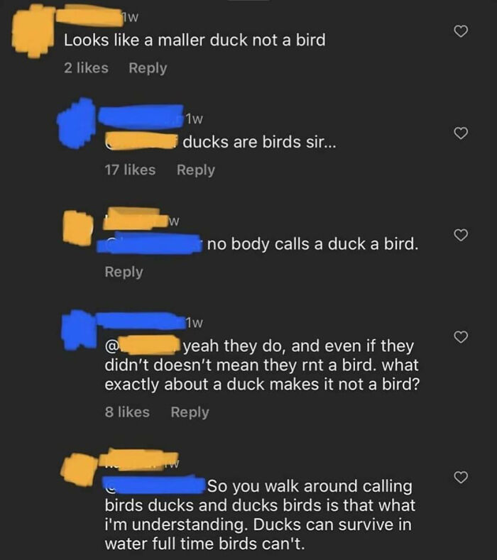 Screenshot of a social media argument showing embarrassing confidence and being wrong about ducks and birds.