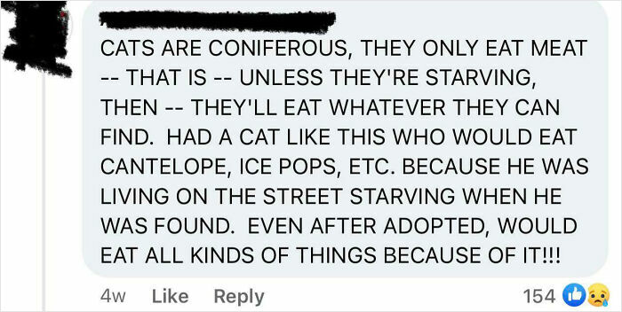 Screenshot of a social media comment showing someone confidently wrong about cats' diets, exemplifying embarrassing misunderstandings.