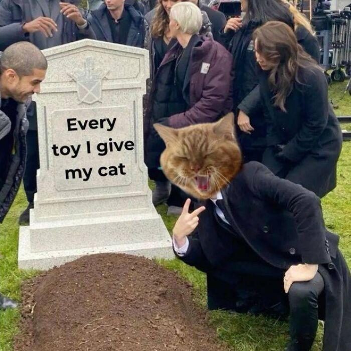 Person with cat face posing at a fake graveyard meme about cat toys, illustrating cute cat memes humor and love for cats.