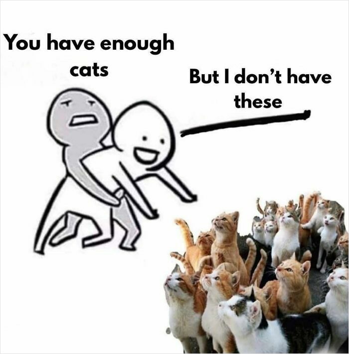 Cartoon character with text about cats alongside a large group of cute cats, perfect for cat memes humor.