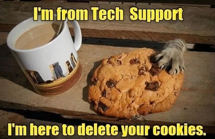 Cat meme showing a cat's paw grabbing a cookie with caption about tech support deleting cookies in a funny way.