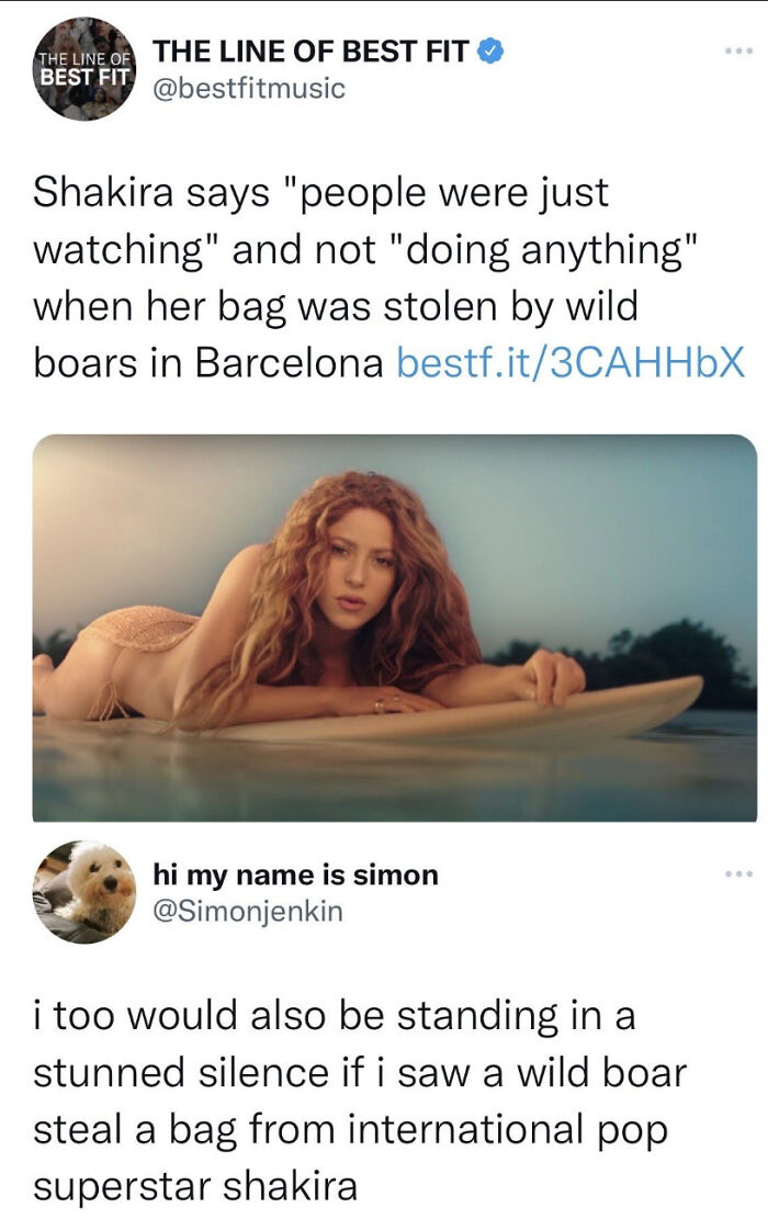 Tweet about wild boars stealing a bag from Shakira in Barcelona, an unhinged sentence leaving everyone speechless.